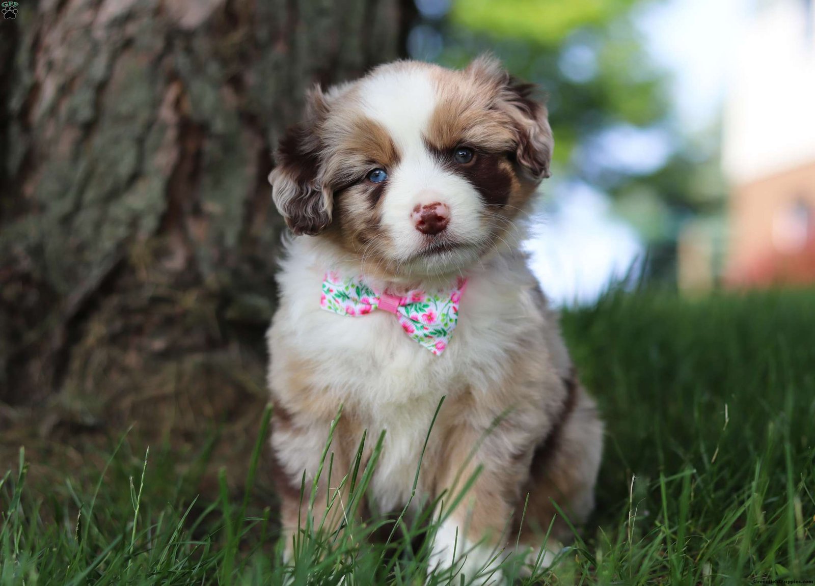 Breezy.jpg1749227956