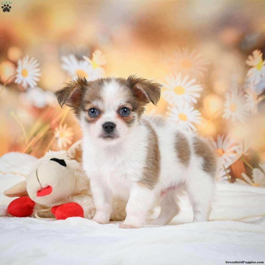 DSC_2876.jpg1752029798