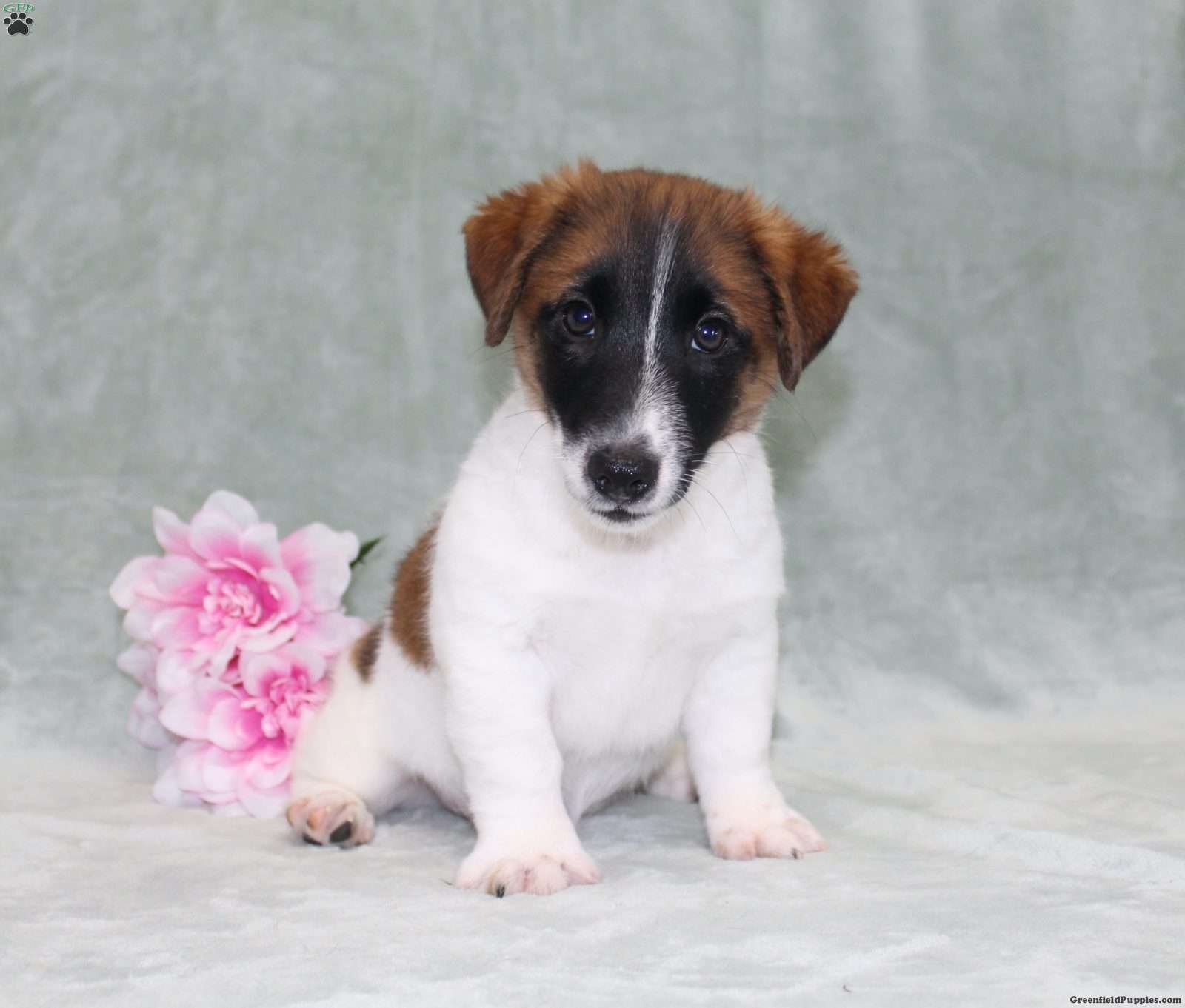 IMG_1637.JPG1747402794-1600x1361