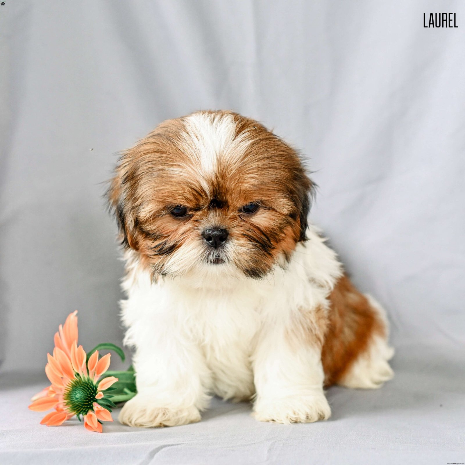 IMG_1774.jpeg1752582788