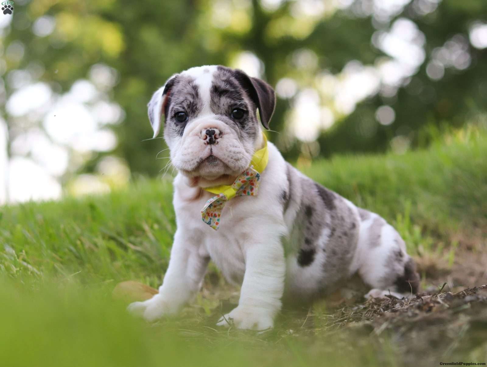 Rocket-1.jpg1752069752-1600x1204